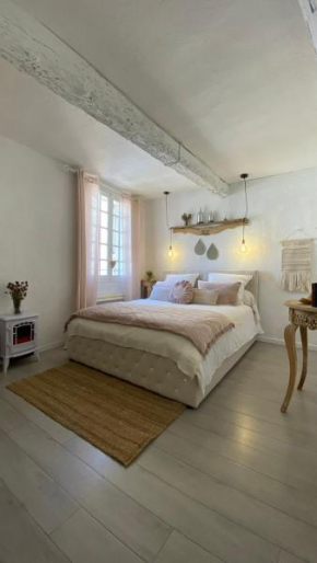 Studio charme cocooning hyper centre historique tout confort